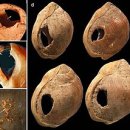진화와 반진화 -과학과 종교의 상반된 견해 이미지