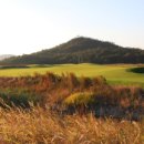 플레이골프존 이미지