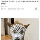 복면강도가 집에 들어온 디시인 이미지