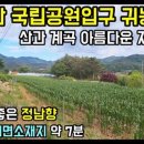 강림면358 이미지