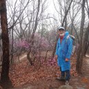 은지초등학교 이미지