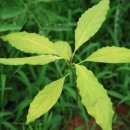 이안농장 이미지