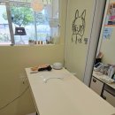 무마취 고양이 미용실 반할고양 이미지