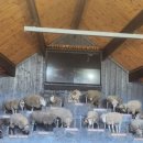 투어 팜(TOUR FARM)