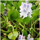 신등초등학교 이미지