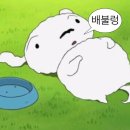 미당한우 | 경찰병원역 구워주는 소곱창, 일요일 낮술 가능한 미당한우곱창 (내돈내산)
