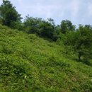 방림행정사 이미지