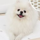 조은의료기기 이미지