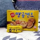 땅콩샌드네 이미지
