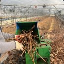 해찬농장 이미지