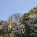 평지해장국 | 춘천 골프장 클럽디 더플레이어스CC 난이도 후기