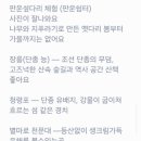 하루스테이 - 제주시 옹포남2길 46-5 | 하루스테이