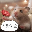 부전사 네이버블로그