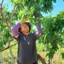 이현숙농장 이미지