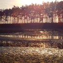 고남면사무소 | 충남 태안 - 운여해변 캠핑장(ft. 대천항 수산시장 회포장)
