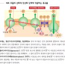 교학사(권혁빈) 세포호흡 저해제에 대한 의문입니다. 이미지