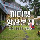 (주)피터펫 이미지