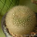 종명농장 이미지