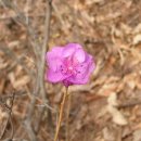 그림자호수 이미지