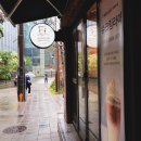 로티보이 앤 비반트