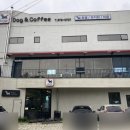 디비디비(dbdb)