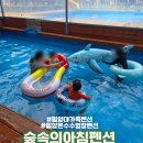숲속의보아펜션 | 밀양 대가족펜션 숲속의아침펜션 온수수영장까지 완벽했던 곳