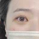 남구-55 | [부산 남구] 경성대 속눈썹펌 후기 — 맨눈도 또렷해지는 틴팅 블랙펌