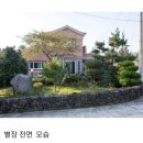 제주곶자왈별장