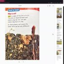 Science 1-26 Soil: 강민서 (초2), 이예솔(초3), 조온유, 조사랑 이미지