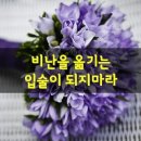 비난을 옮기는 입술이 되지마라.(영상글 첨부) 이미지