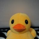 뽕 인형뽑기 이미지