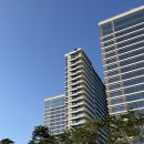 까미애견샵 | 강릉 신라모노그램, 애견동반 호캉스 다녀온 후기 / 조식, 테라로사