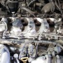 트라제6 이미지