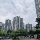 엘스의원 이미지