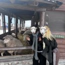 도희목장 | 해피유히열