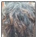 한스헤어 이미지