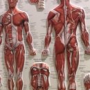 은하메디 이미지