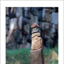 장안공원 이미지