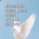 소금을 먹으라는 거야 먹지 말라는 거야? 이미지