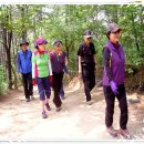 강감찬 동상 이미지