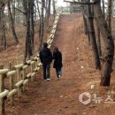 붉은낭만길 이미지