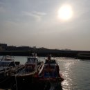 효민이네 하우스 이미지