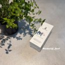 (주)에르쯔틴 | 실트앰플 에르쯔틴 기우는 40대 피부 가치 올리러 올영 세일 추천템 획득 후기