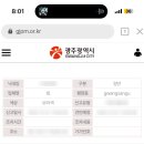 광주전동킥보드 | 광주광역시 공유 전동 킥보드 민원 신고 방법, 후기
