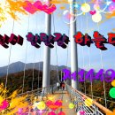 하늘다리 이미지