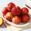 인정푸드 - 송파구 | 인정푸드