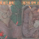 위즈동물병원 이미지