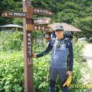 청산별곡민박