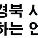 당선무효형에 해당하는 벌금 7일 대구지법 서부지원 약식9단독 새마을금고 이사장 새마을금고법 위반 혐의 100만 원 이상의 벌금형을 선 이미지