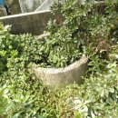 삼달2리 이미지